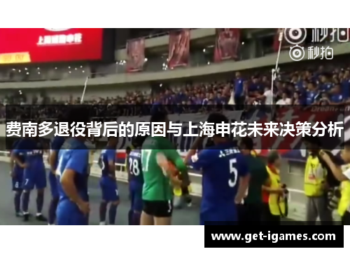 费南多退役背后的原因与上海申花未来决策分析
