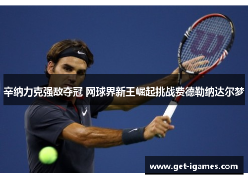 辛纳力克强敌夺冠 网球界新王崛起挑战费德勒纳达尔梦 辛纳力克强敌夺冠 网球界新王崛起挑战费德勒纳达尔梦