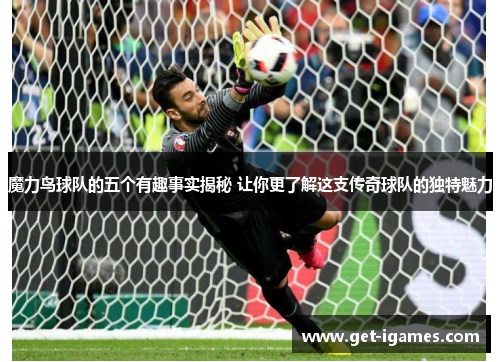 魔力鸟球队的五个有趣事实揭秘 让你更了解这支传奇球队的独特魅力